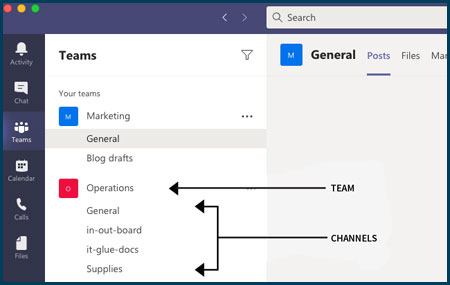Get More from Microsoft 365 and Teams | Echopath